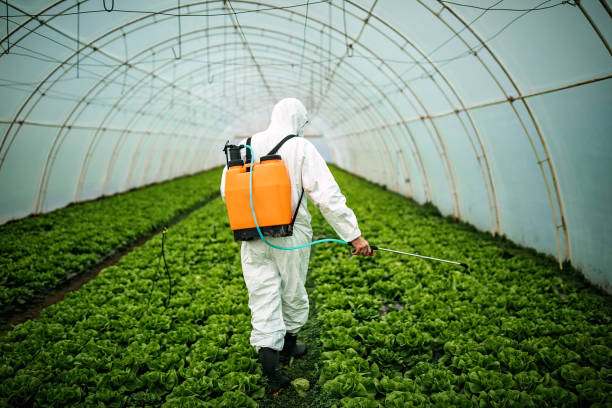 Reliable Mundys Corner, PA Pest Control Solutions