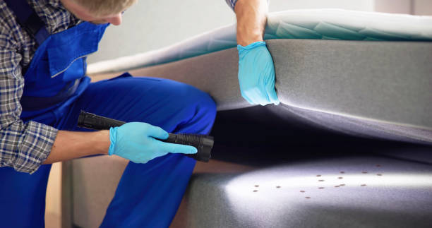 Best Best Pest Control Companies  in Mundys Corner, PA