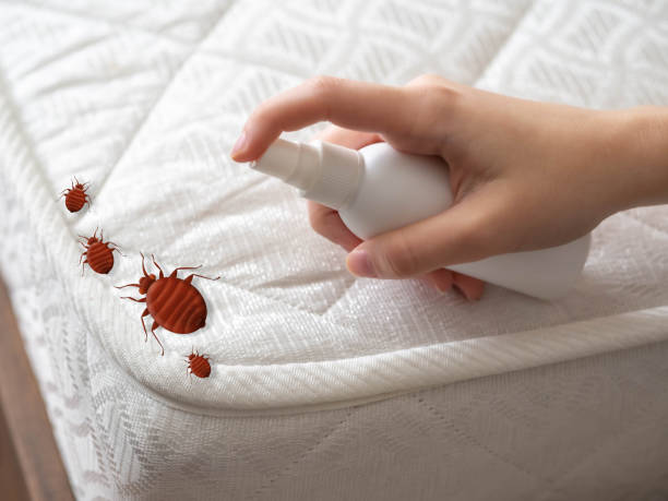 Best Pest Control for Businesses  in Mundys Corner, PA
