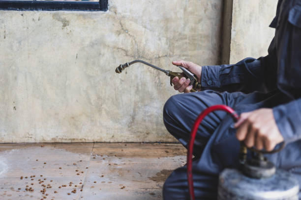Best Wasp Removal Services  in Mundys Corner, PA